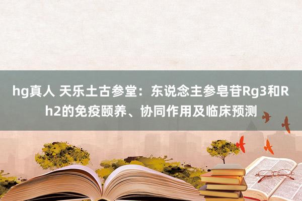hg真人 天乐土古参堂：东说念主参皂苷Rg3和Rh2的免疫颐养、协同作用及临床预测