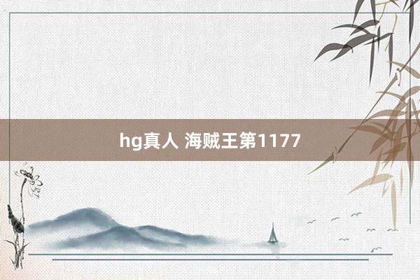 hg真人 海贼王第1177