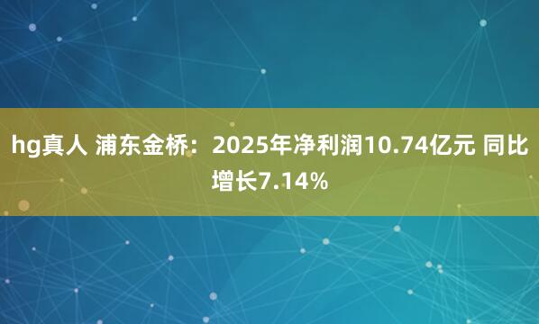 hg真人 浦东金桥：2025年净利润10.74亿元 同比增长7.14%